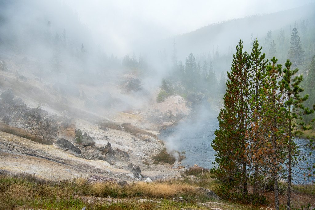 Foggy morning and small hot springs along the river in Yellowstone  by dridsdale