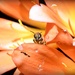 Bee and a Clivia by yorkshirekiwi
