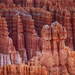 Hoodoos of Bryce Canyon by pdulis