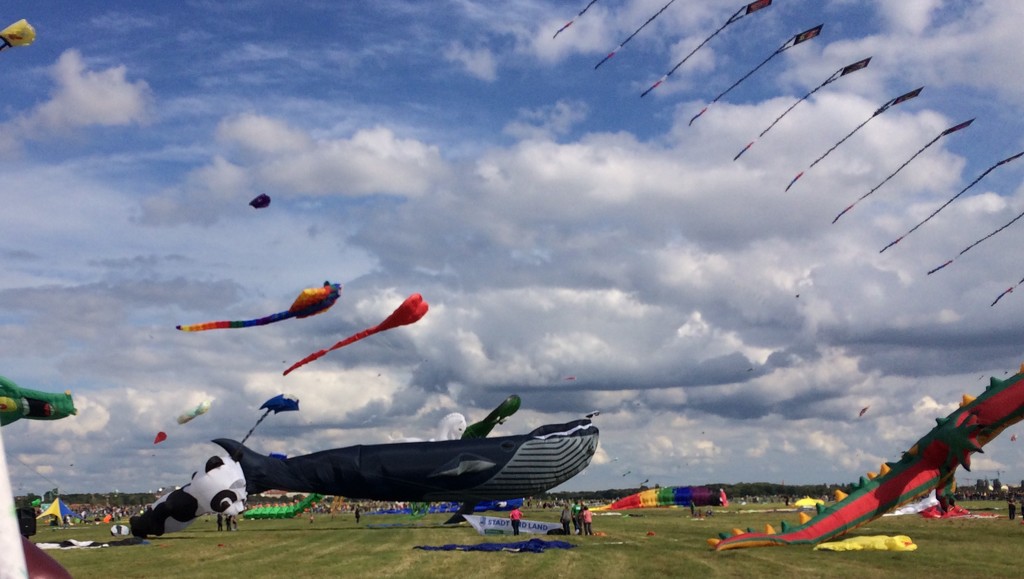 Kite Festival at Tempelhoff  by elainepenney