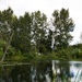 Pond in Magnuson Park by cristinaledesma33