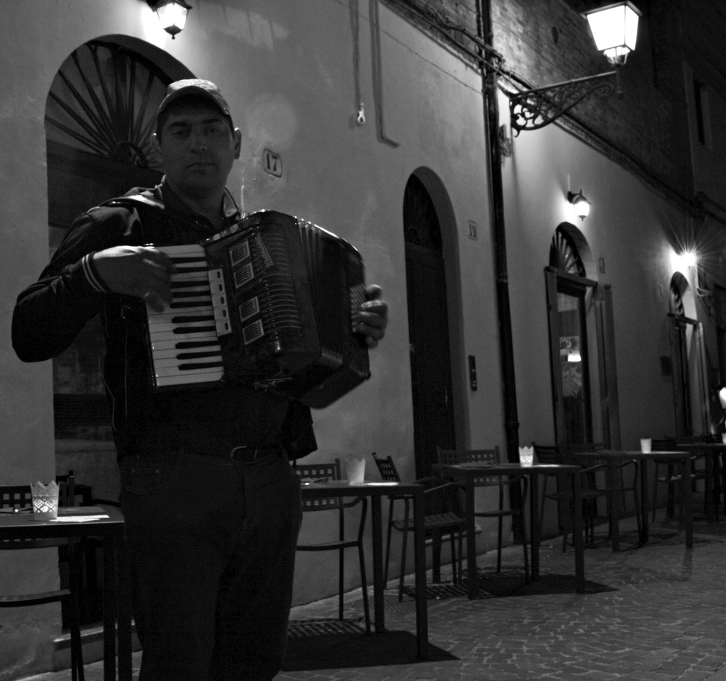 Accordion player by caterina