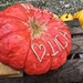 Pumpkin heart.  by cocobella