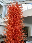 23rd Sep 2017 - The Chihuly blown glass Seay Tower