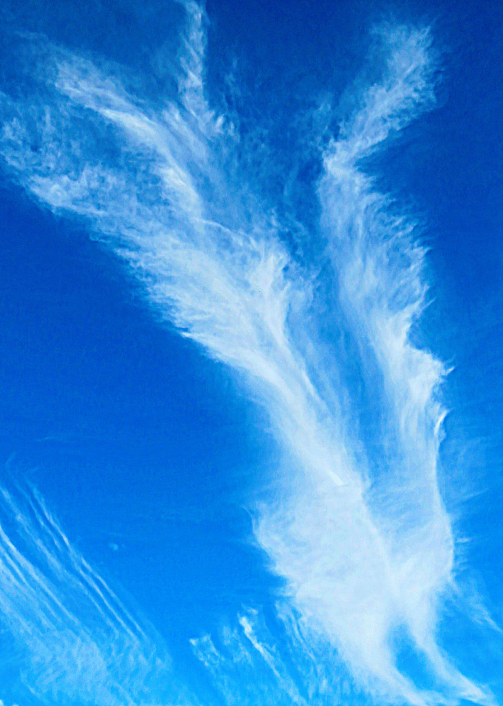 Cloud Abstract by seattlite