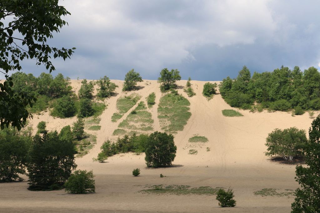 Sand dunes in Tadoussa. by hellie