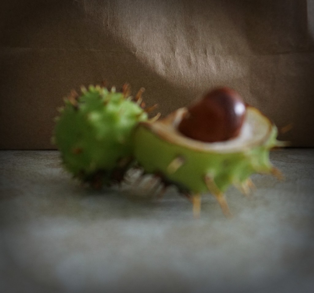 conker time by sarah19