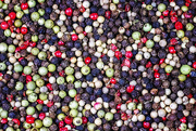 21st Sep 2017 - peppercorns