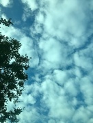 15th Sep 2017 - Clouds