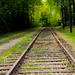Railroad Tracks by judyc57