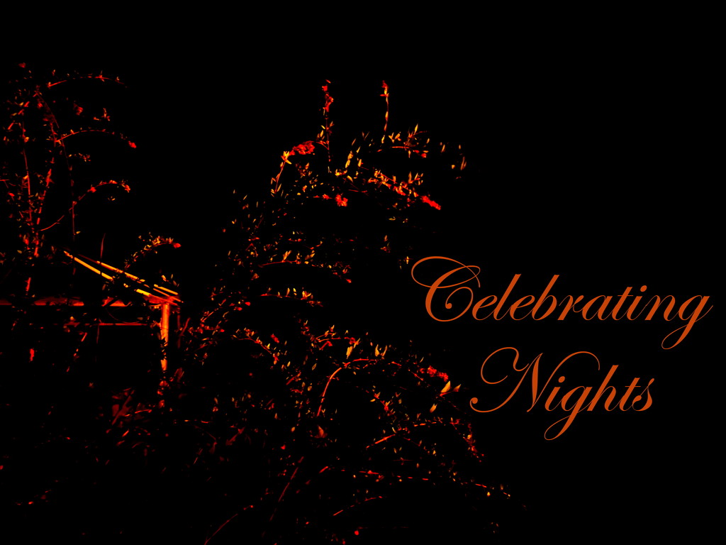 Celebrating Night by ubobohobo