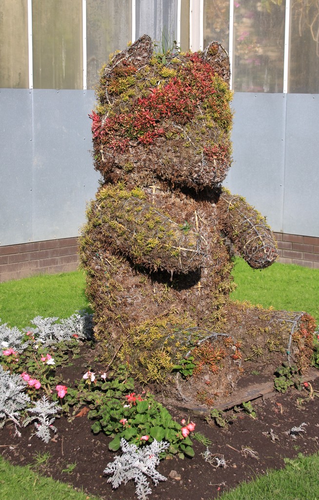 Pudsey Bear - Pudsey Park by lumpiniman