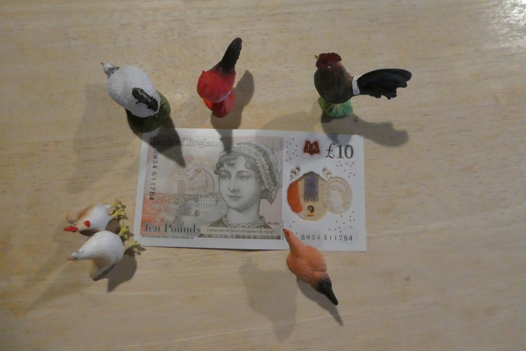 all the chickens are studying my first new £10 note by anniesue