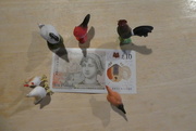 24th Sep 2017 - all the chickens are studying my first new £10 note