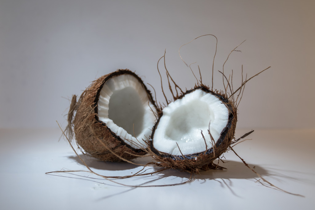 Coconut by peadar