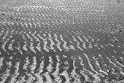 24th Sep 2017 - Patterns in the sand