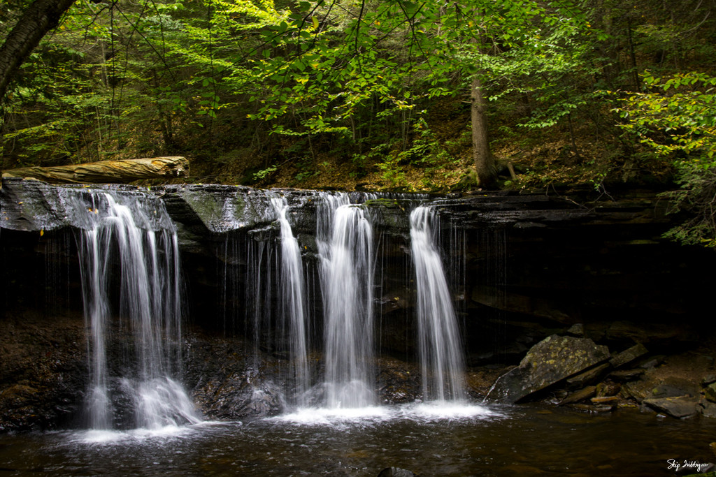 Oneida Falls, Ricketts Glenn State Park by skipt07