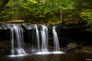 16th Sep 2017 - Oneida Falls, Ricketts Glenn State Park