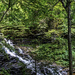 Panorama of a Waterfall by skipt07