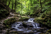 18th Sep 2017 - Seneca Falls - Ricketts Glen State Park, Pennsylvania