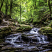 Seneca Falls - Ricketts Glen State Park, Pennsylvania by skipt07