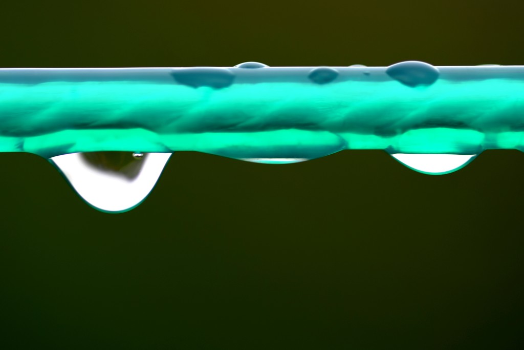 water drops on washing line by christophercox