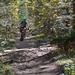 mountain biker  by bigdad