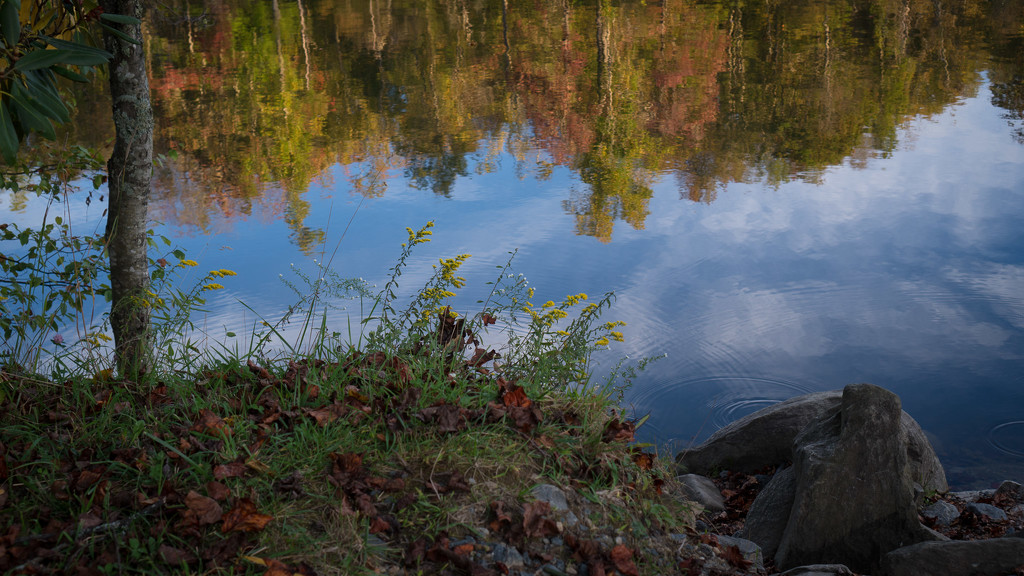 Autumn reflected by randystreat