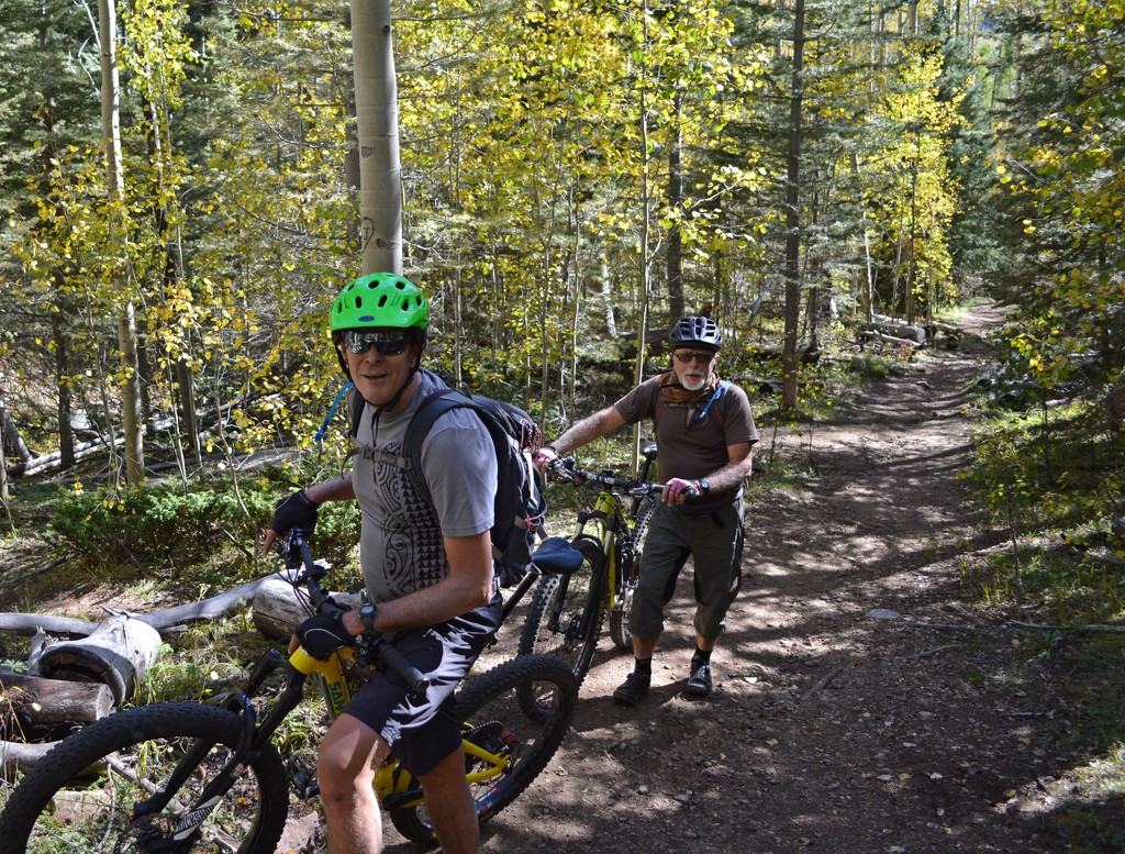 mountain bikers picture - 2 by bigdad