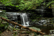 20th Sep 2017 - Ricketts Glen Waterfall