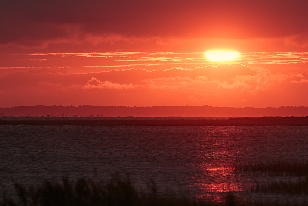 Chincoteague Sunset by shesnapped