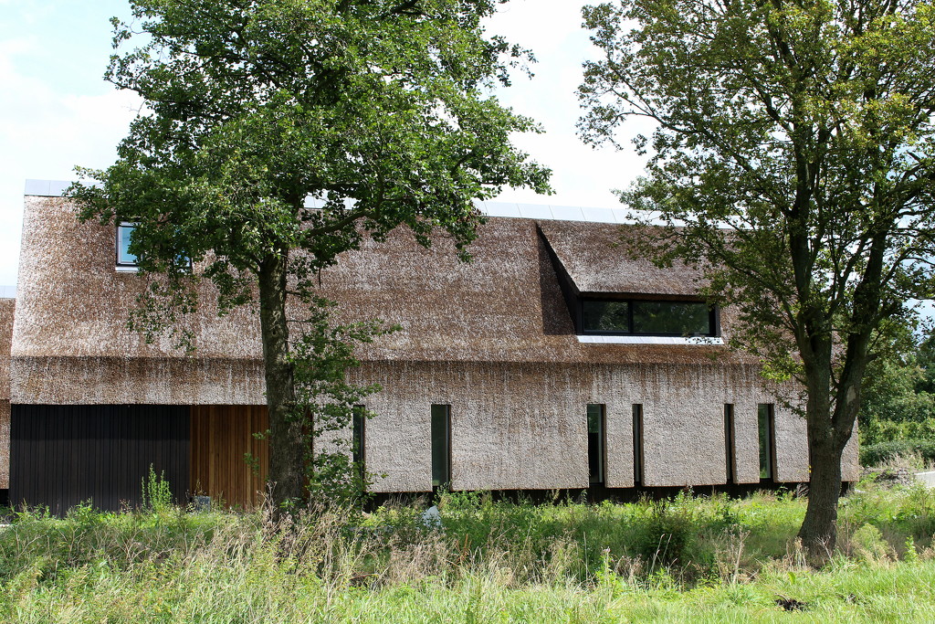 A modern version of a  thatched roof by pyrrhula