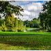 Abington Park,Northampton by carolmw