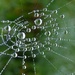 Captured droplets by julienne1