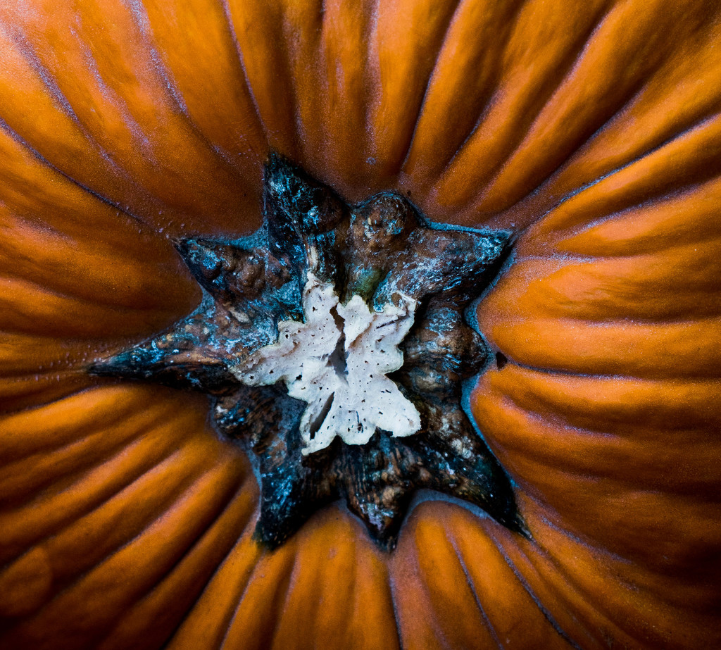 Get-Pushed-270 Abstract Pumpkin by randystreat