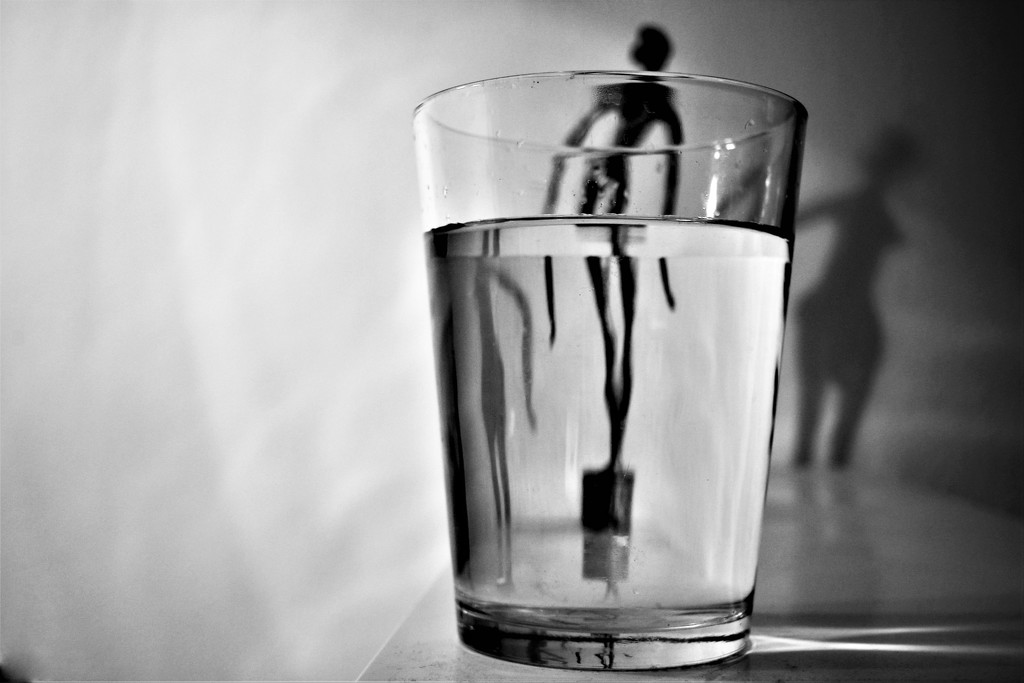 Black and white refraction by vincent24
