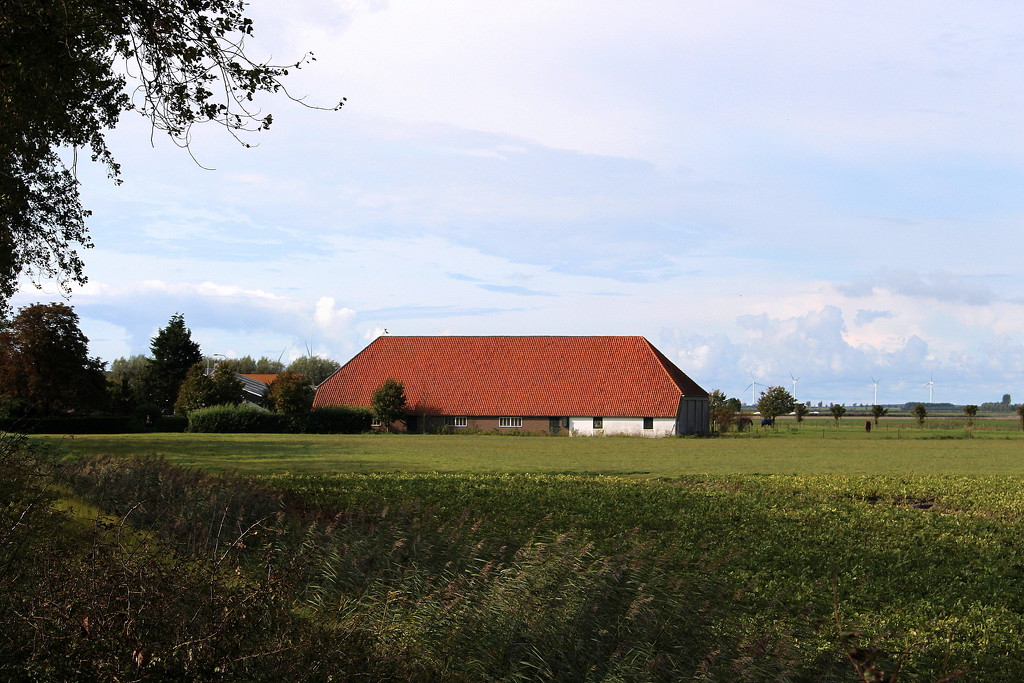 View on a tile roofed barn. by pyrrhula