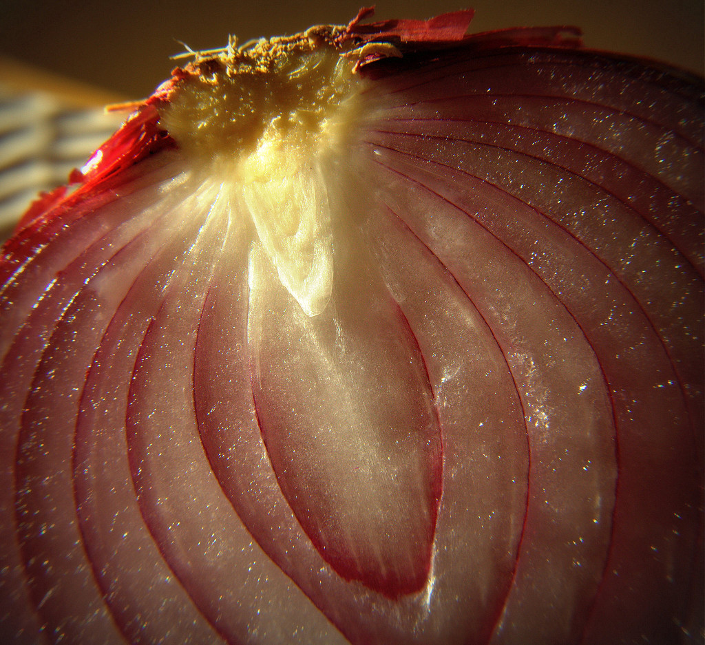 Day 12:  "Onions Got Us Cryin' " by sheilalorson