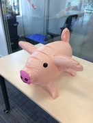 27th Sep 2017 - Pass the Pig
