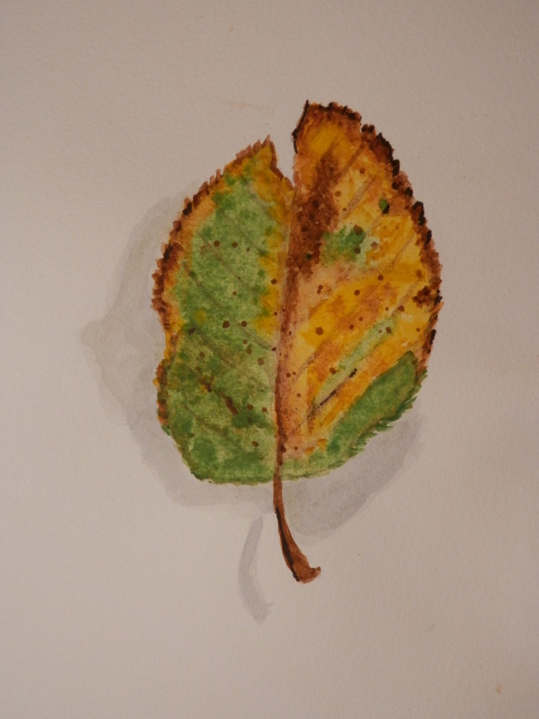 Second Leaf Watercolor by julie