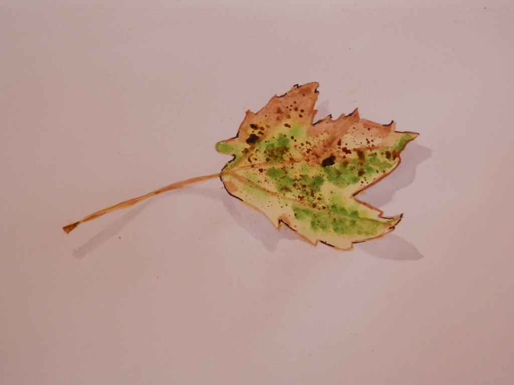 Third Leaf Watercolor by julie