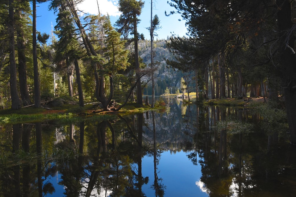 Glass Reflections on Woods Lake. by joysfocus