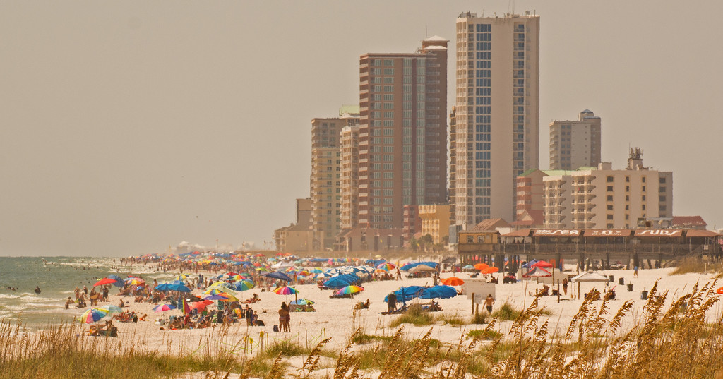 Gulf Shores Alabama Beach Scene! by rickster549