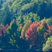 Autumn Colors by seattlite