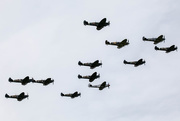 29th Sep 2017 - Flock of Spitfires