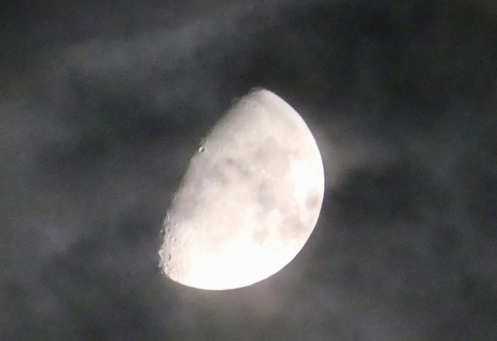 Shrouded Moon by carole_sandford