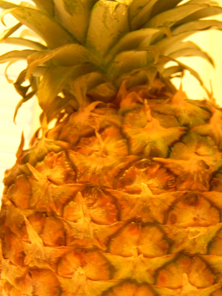 Pineapple  by sfeldphotos