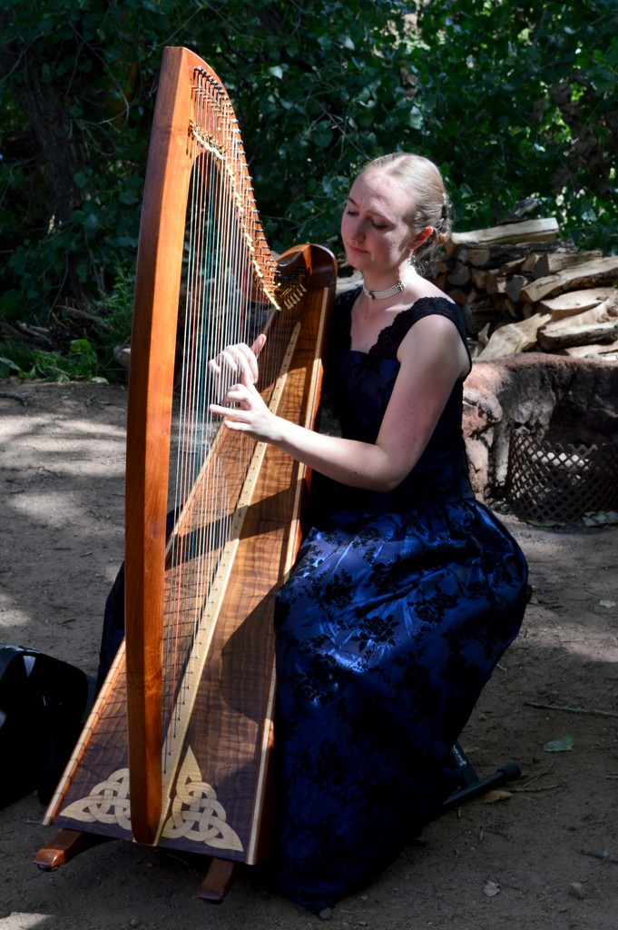 harp player by bigdad