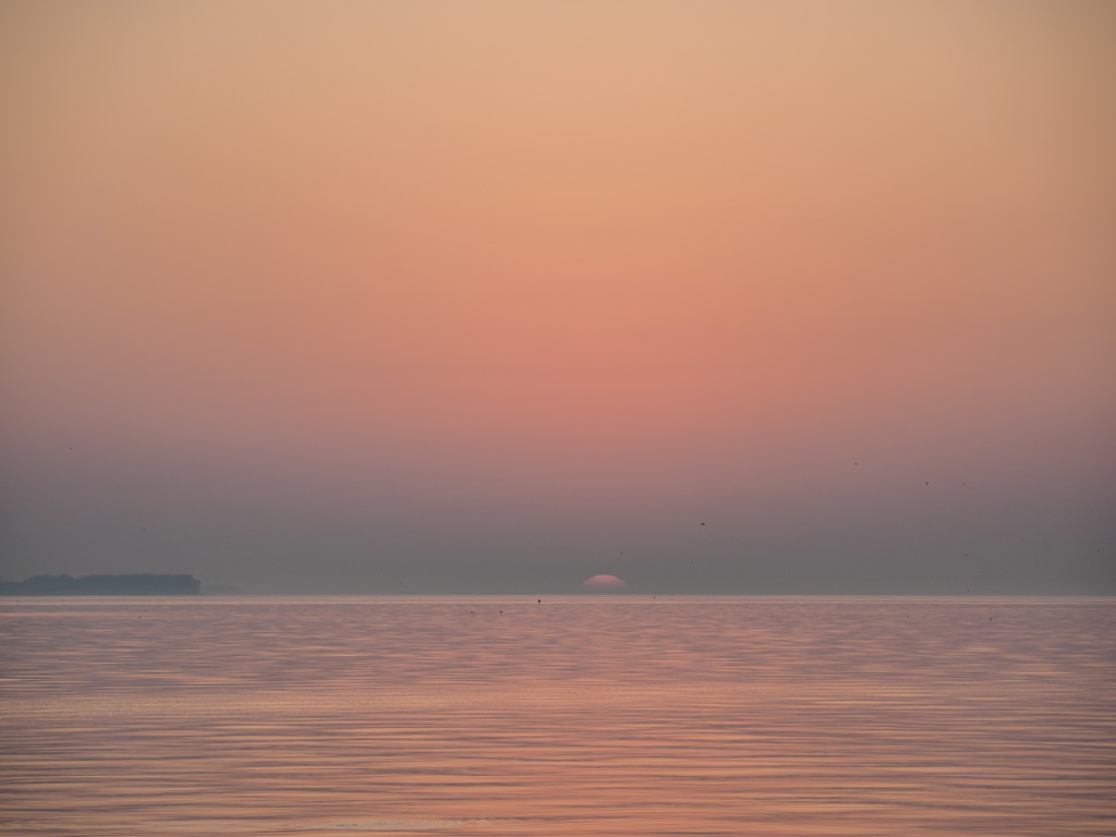 Misty Sunrise by selkie