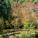 Autumn Garden by rminer